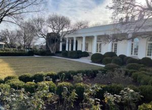 White House Rose Garden Turns Wilted During Trump Administration (Image: Twitter)