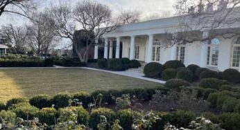 White House Rose Garden Turns Wilted After Melania Trump’s Renovation