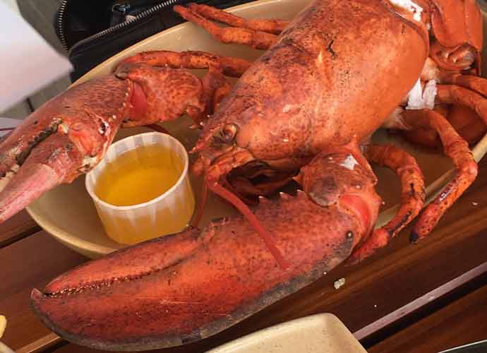 U.K. Set To Ban Boiling Lobsters Alive