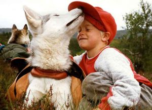 Siberian Husky with young boy (Image: Wikimedia)