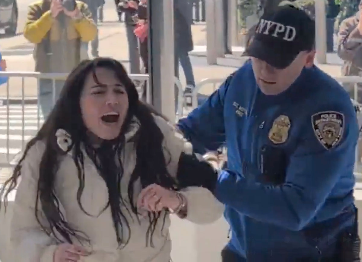 VIDEO: Protesters Arrested During Demonstration At Tesla Showroom in Manhattan